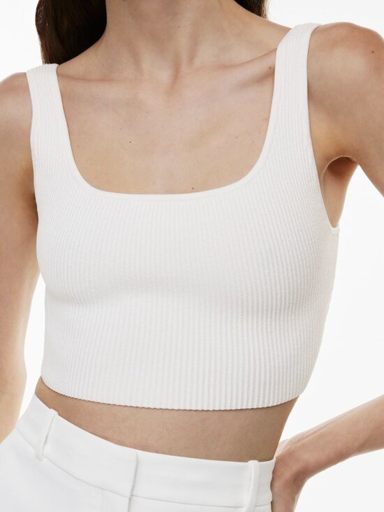 Babaton Tops - Aritzia Babaton Sculpt Knit Squareneck Cropped Tank
